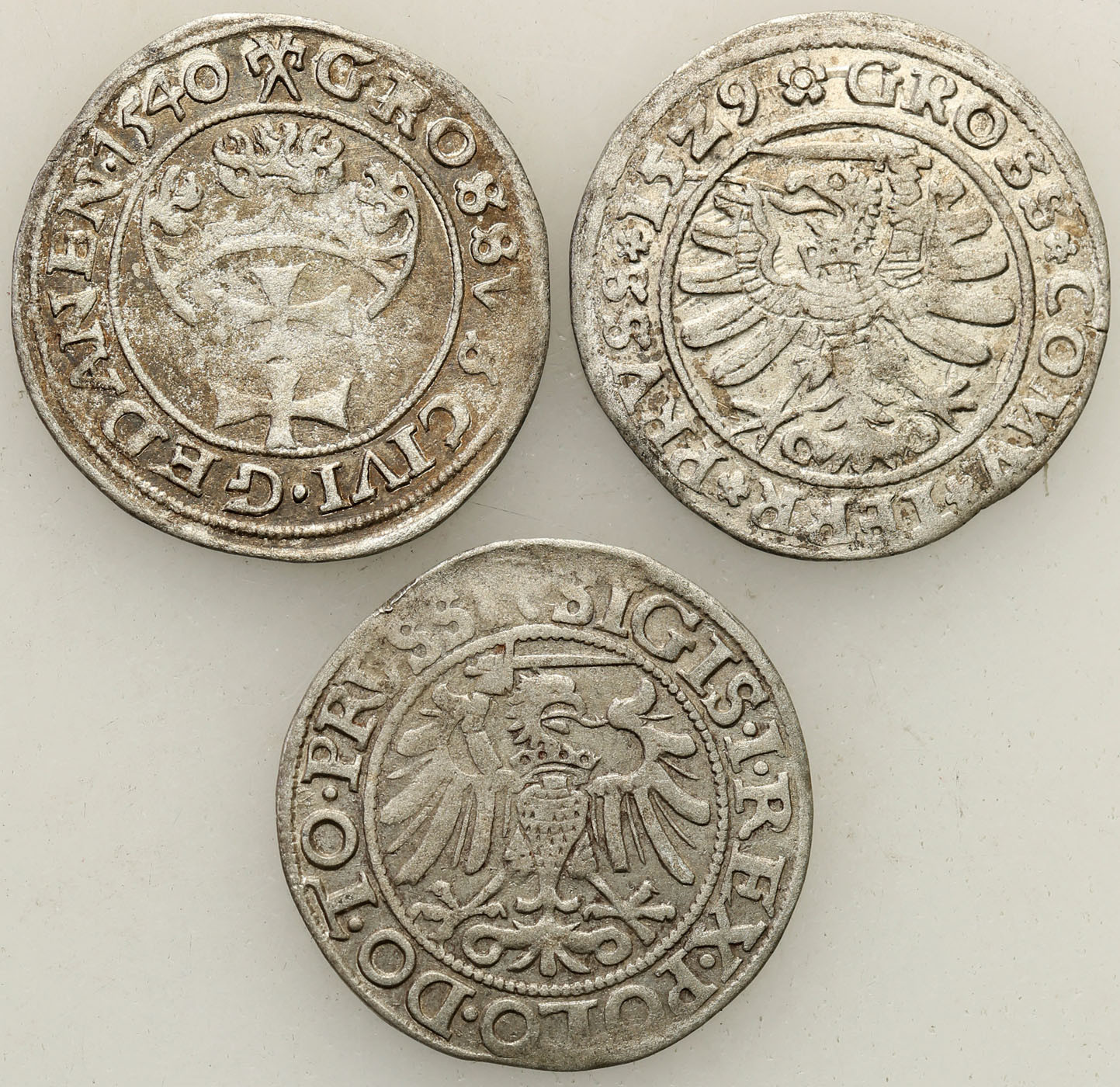 Zygmunt I Stary. Grosz 1529, Toruń, 1540 Elbląg, 1540, Gdańsk, zestaw 3 monet